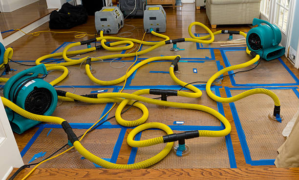 Professional Crawl Space Water Removal technician working in Vincent, CA